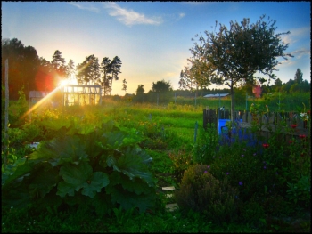 Carol Reed 1 Screenshot