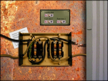 Carol Reed 1 Screenshot