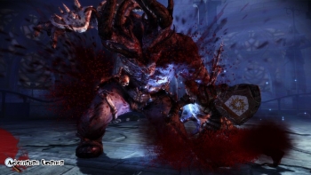Dragon Age: Origins Screenshot Dragon Age: Origins Screenshot