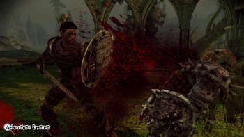 Dragon Age: Origins Screenshot