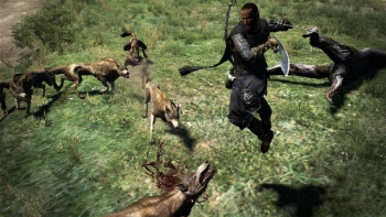 Dragon's Dogma Screenshot