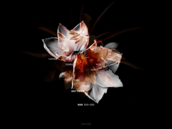 In Memoriam 2 Screenshot