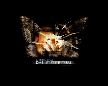 In Memoriam 2 Screenshot