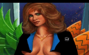 Leisure Suit Larry Screenshot
