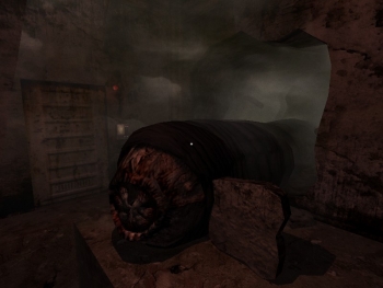 Penumbra 2 Screenshot