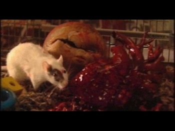 Phantasmagoria 2 Screenshot