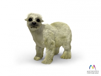 Syberia 2 Screenshot