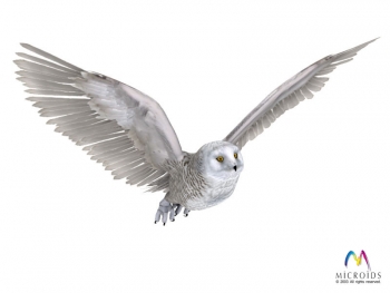 Syberia 2 Screenshot