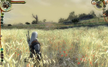 The Witcher Screenshot
