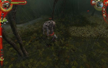 The Witcher Screenshot