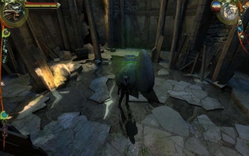 The Witcher Screenshot