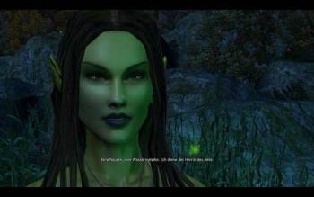 The Witcher Screenshot