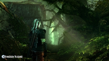 The Witcher 2 Screenshot