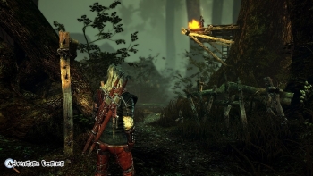 The Witcher 2 Screenshot