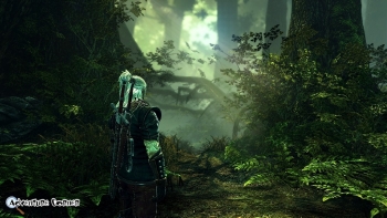The Witcher 2 Screenshot