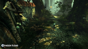 The Witcher 2 Screenshot