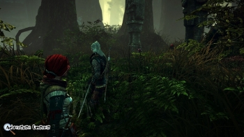 The Witcher 2 Screenshot