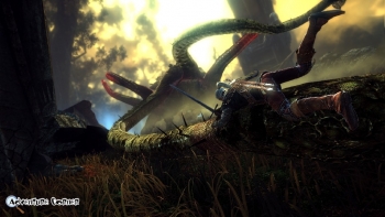 The Witcher 2 Screenshot