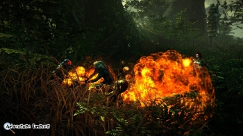 The Witcher 2 Screenshot