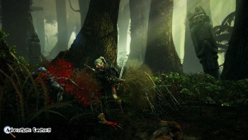 The Witcher 2 Screenshot