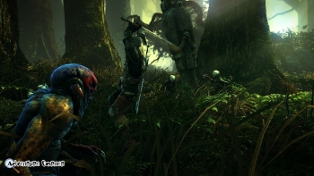 The Witcher 2 Screenshot