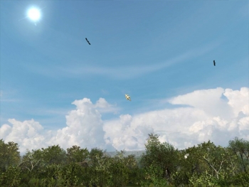 Das Geheimnis der vergessenen Höhle Screenshot