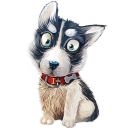 Benutzeravatar