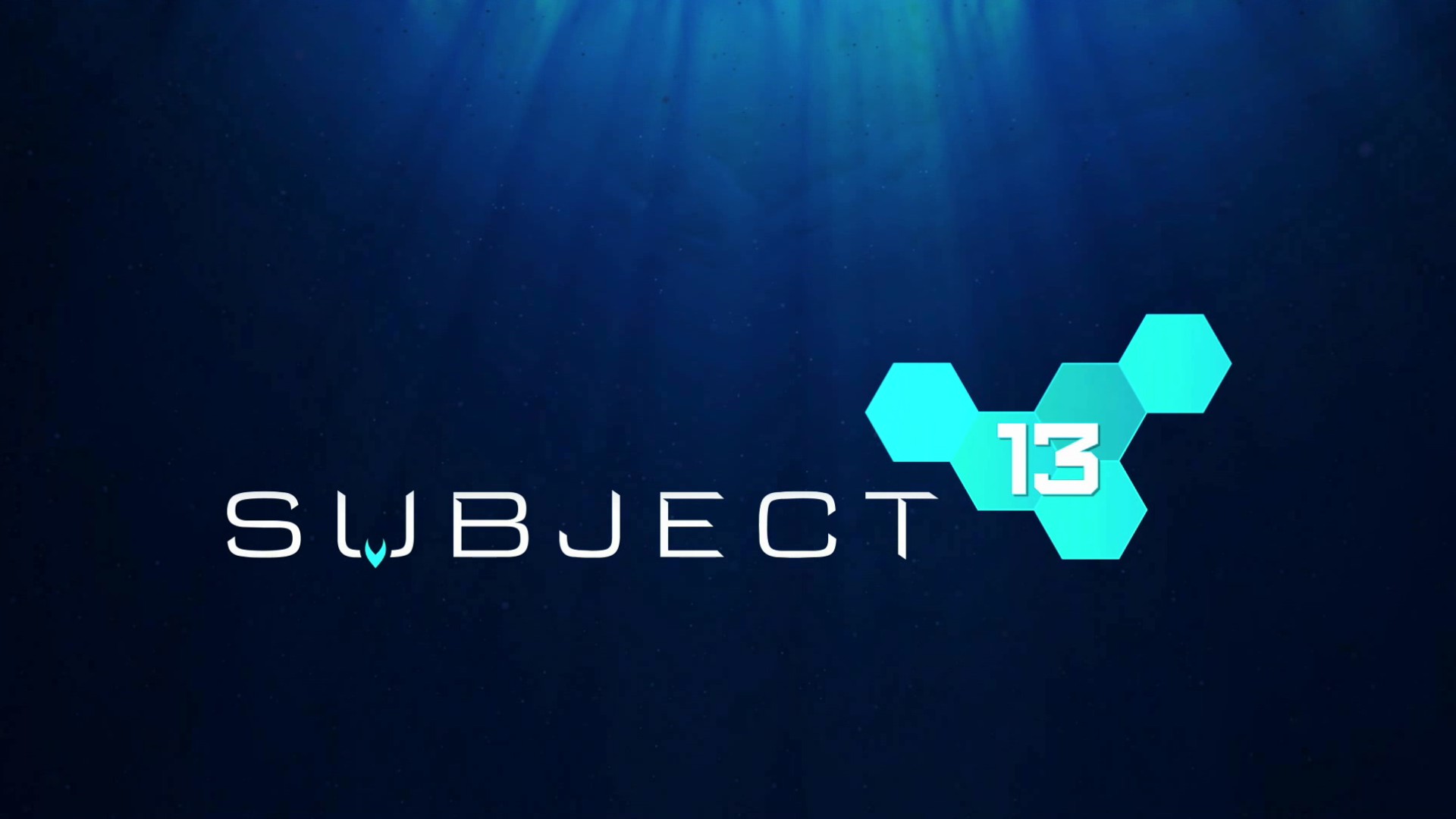 Subject 13